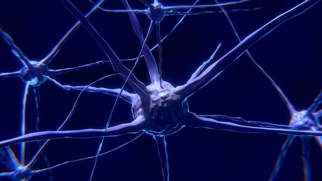 **Neuronauka Translacyjna: Czy bioaktywne peptydy z ryb głębinowych mogą selektywnie naprawiać uszkodzenia błon komórkowych neuronów w modelach udaru niedokrwiennego?** - 5 2025
