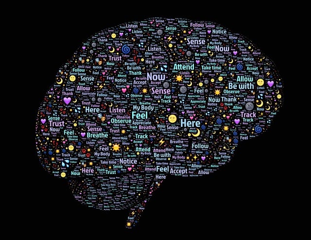 ** Jakie mechanizmy neuroplastyczności mózgu odpowiadają za redukcję fantomowych bólów kończyn podczas treningu lustrzanego?
