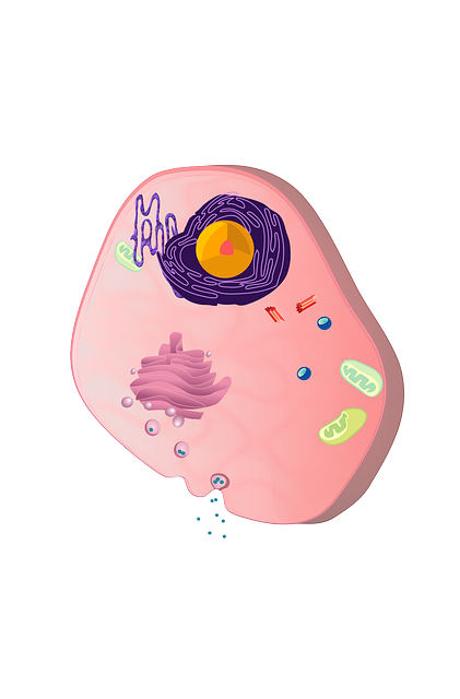 ** Jak mitochondria wpływają na rozwój choroby Alzheimera? - 3 2025