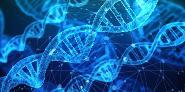 Genetyczny Detektyw: Jak Twoje DNA Podpowiada, Jak Długo i Zdrowo Żyć – Osobista Podróż Przez Labirynt Genomiki
